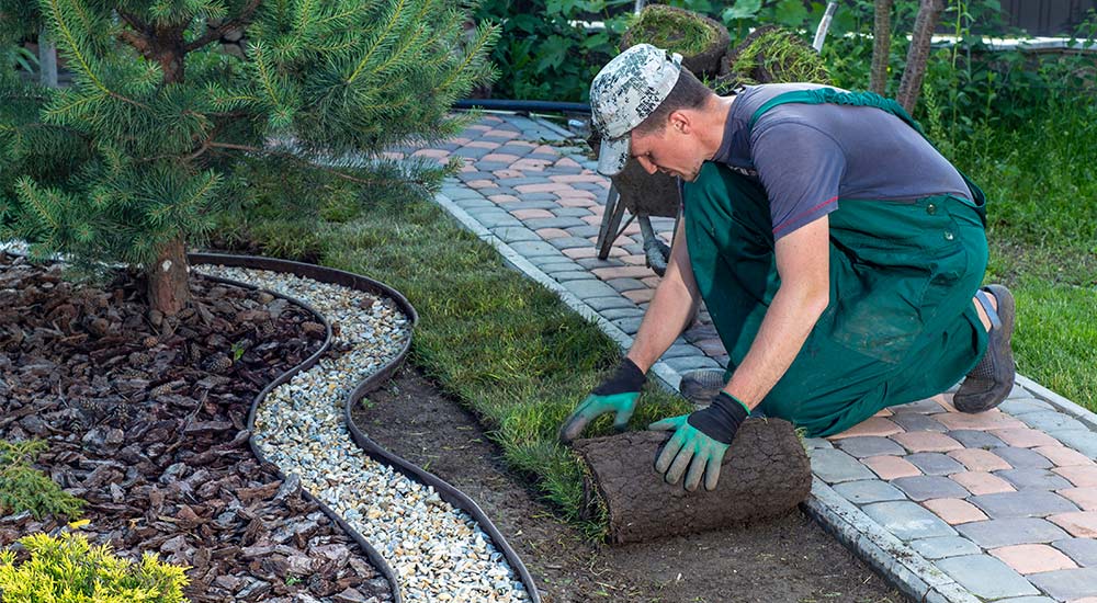 Person doing landscaping work.