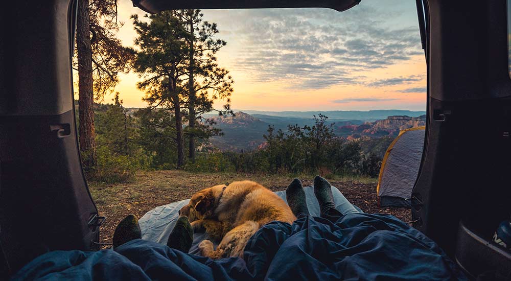 People camping in their rental car