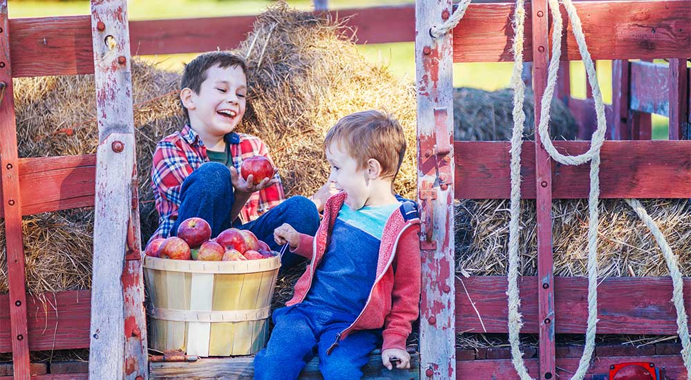Two young children playing in hay at a farm