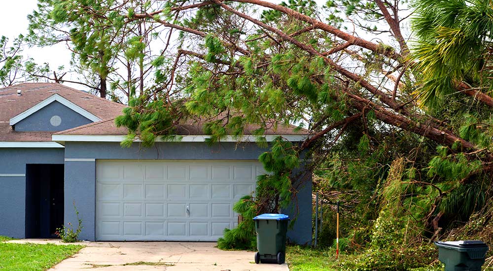 Tree fallen on a home after a storm