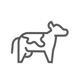 cattle operations icon