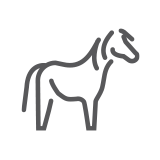 equine operations icon