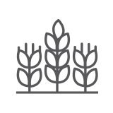 row crop operations icon